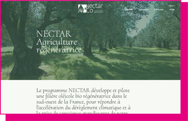 Site headless éco-conçu Nectar-io par Internet 2000