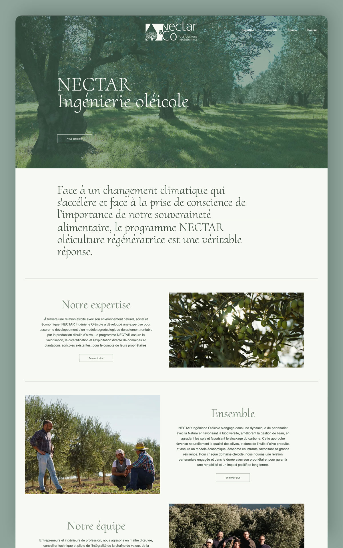 Homepage du site Nectar-io
